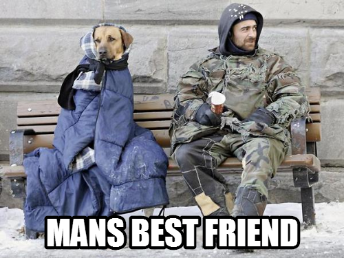Dogs never cheat on you