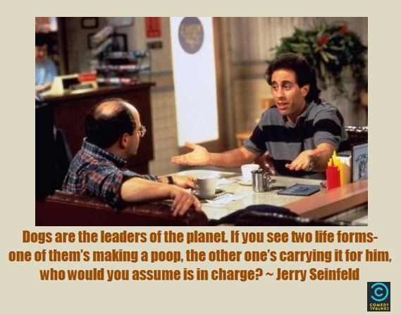 Just Seinfeld