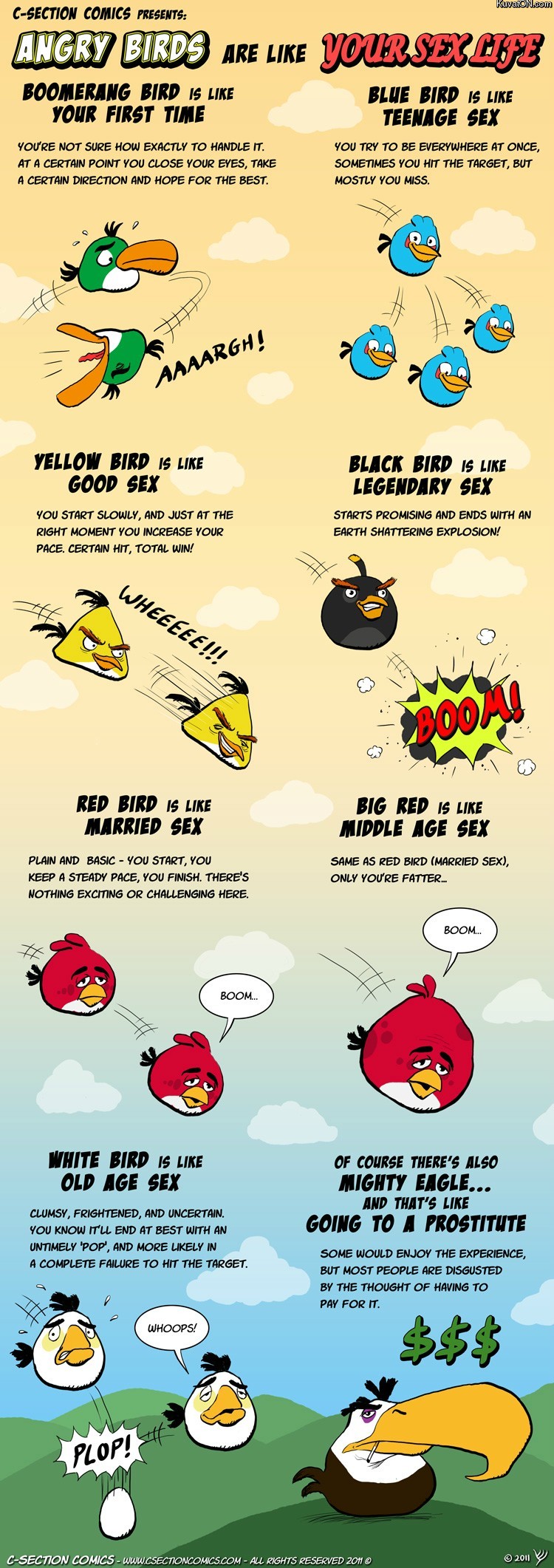 Angry birds and your sexlife