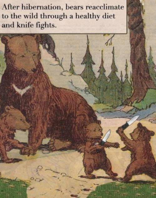 overly manly bears