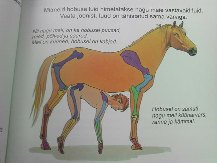 Estonian Children book