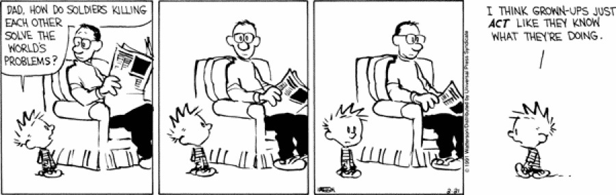 Wisdom from a smart kid [Calvin and Hobbes]