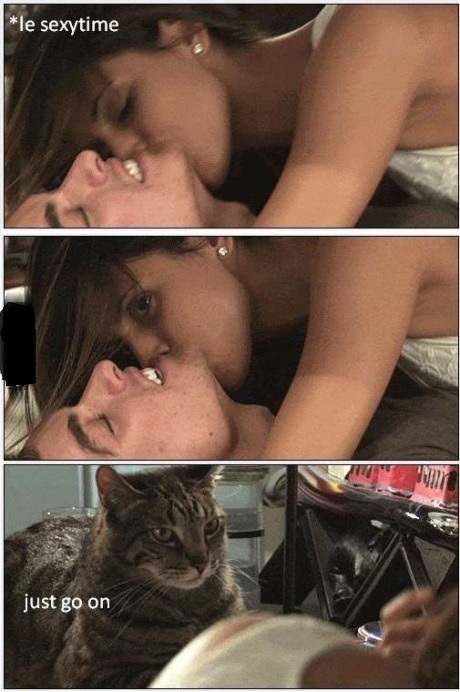 want a threesome baby? think abt it .... you ... me... the cat .. c: