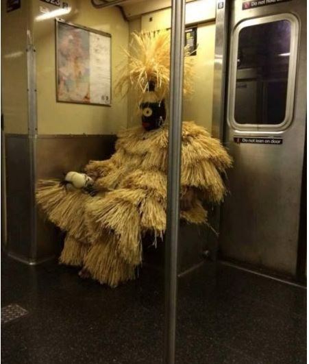 Just another day on the train