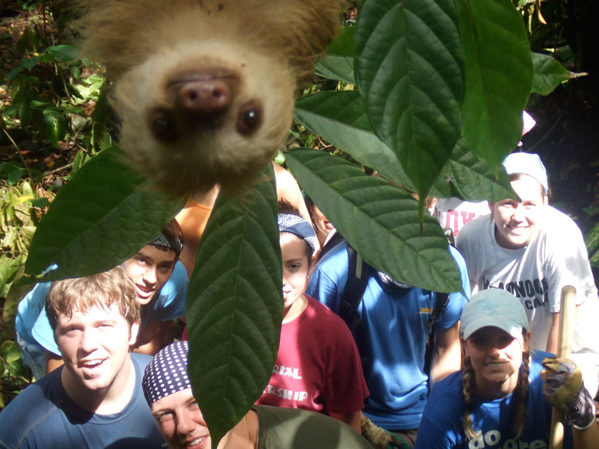 Photobombing Sloth