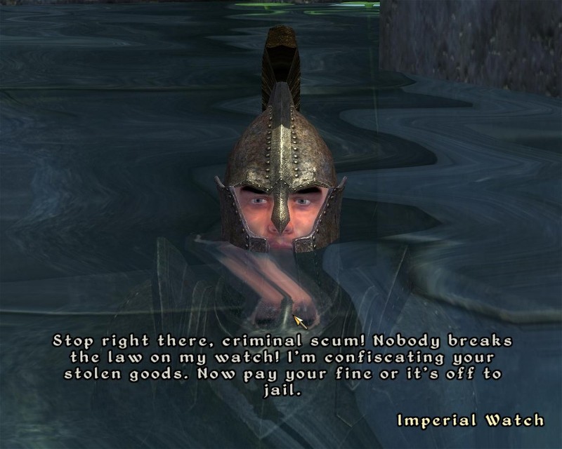 STOP RIGHT THERE!