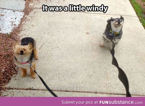 A little windy