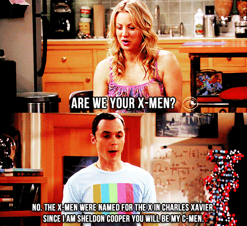 My favourite Sheldon Cooper quote.