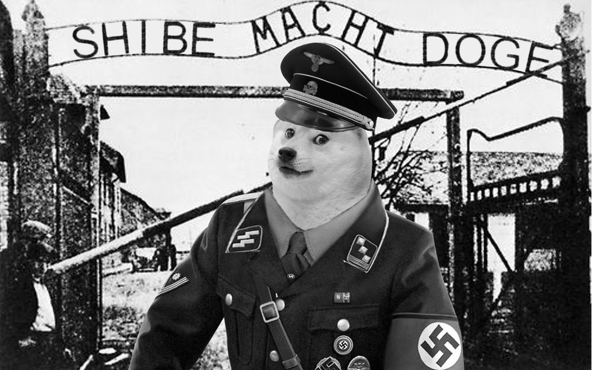 such doge such swastika wow