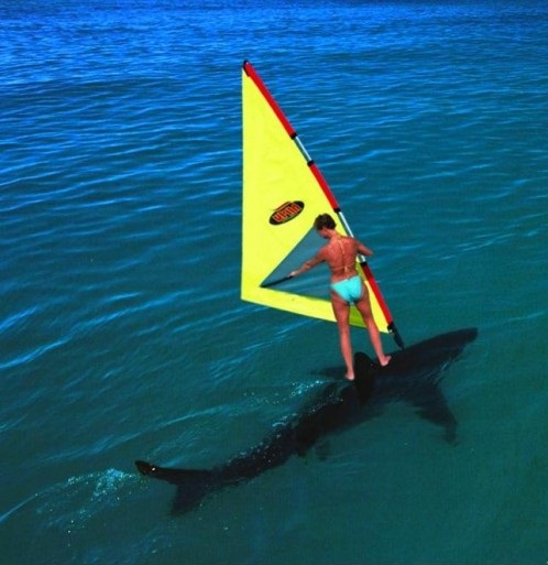 Best windsurfing board evar!