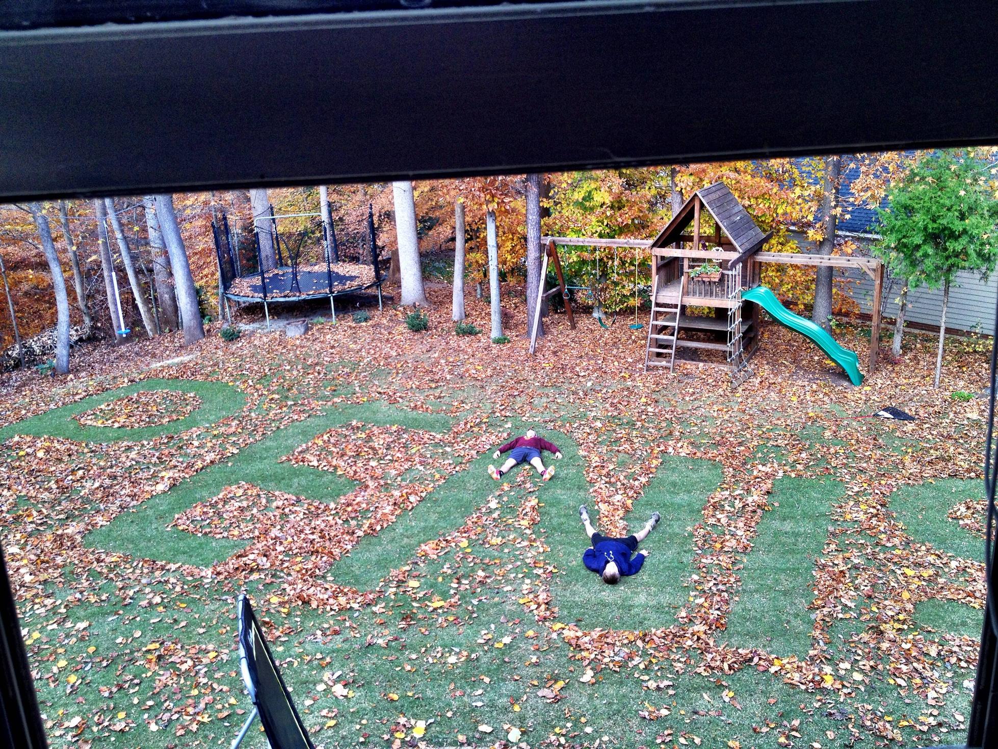 This is what happens when you ask your teenage sons to rake the leaves and mow the lawn.