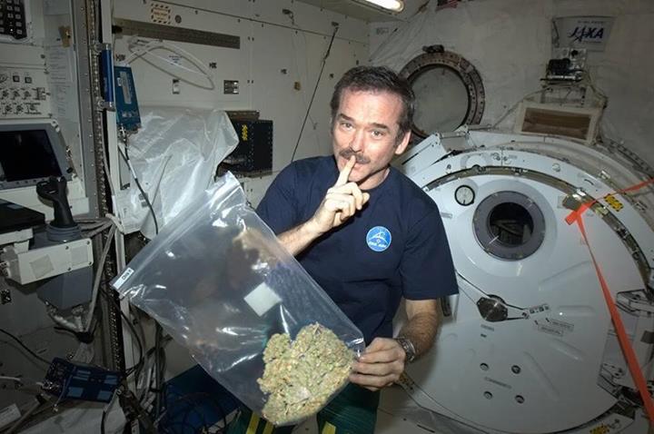 Weed in space