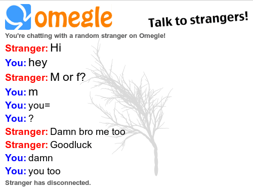 On omegle everyone is a male