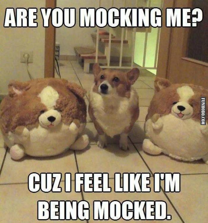 Are you mocking me ?