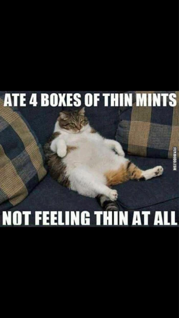 Found Girl Scout cookies at GF apt, one thing led to another... They are all gone. I sent her this a