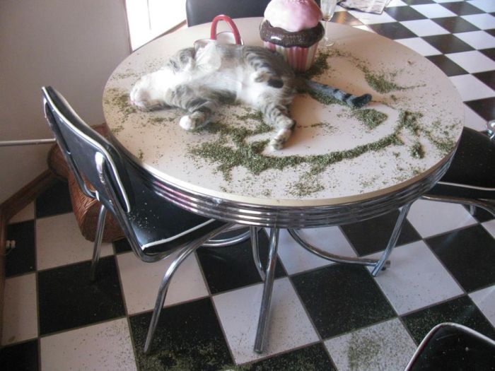 after just visiting your dealer