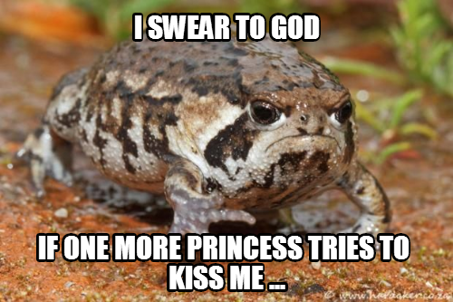 Grumpy Toad doesn't like fairy-tales