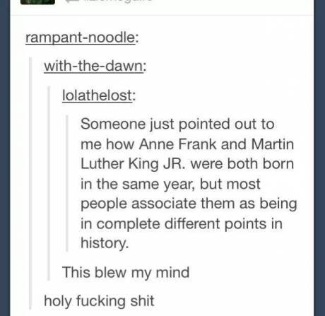 Anne Frank and MLKJ