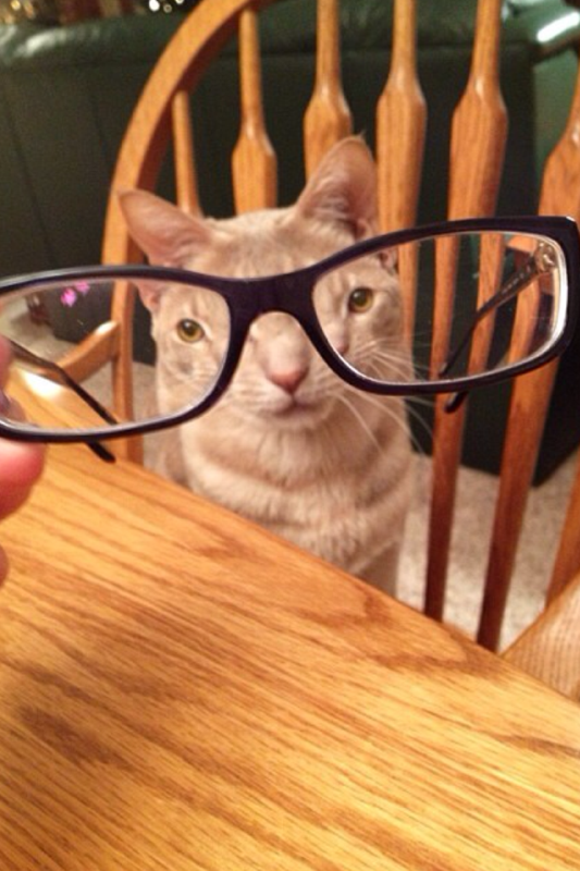 Do these glasses make me look weird?