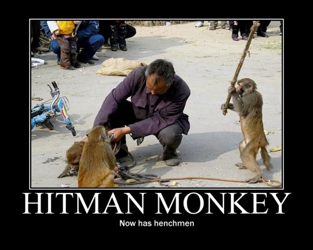 Hitman monkey III: Hold-Up