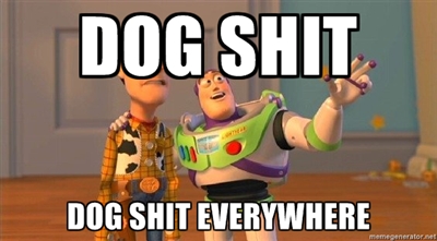 Every time when i go for a walk in the park