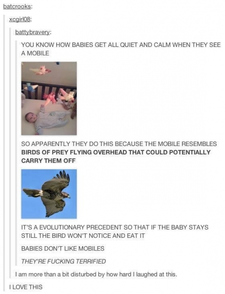 Babies are just scared.