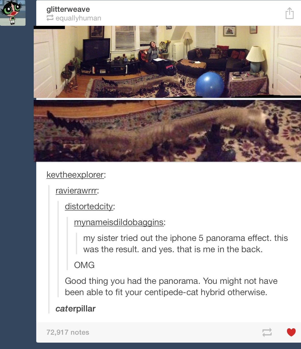 A CATerpillar