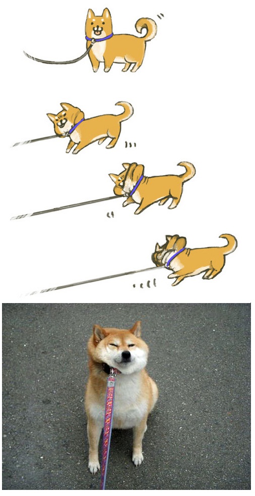 such pull. much strong. very doge.