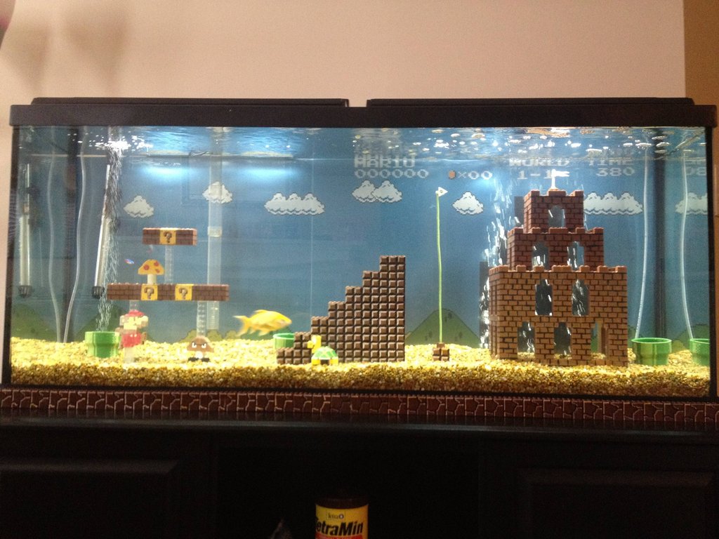 Just an aquarium.