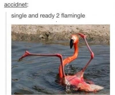 Me every single day