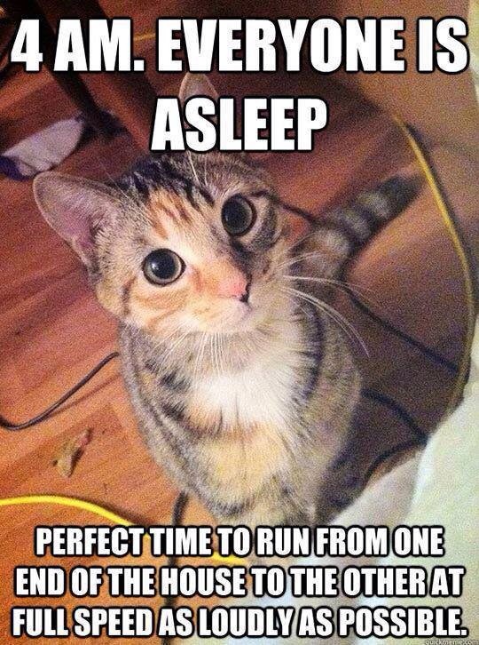 Every damn night.