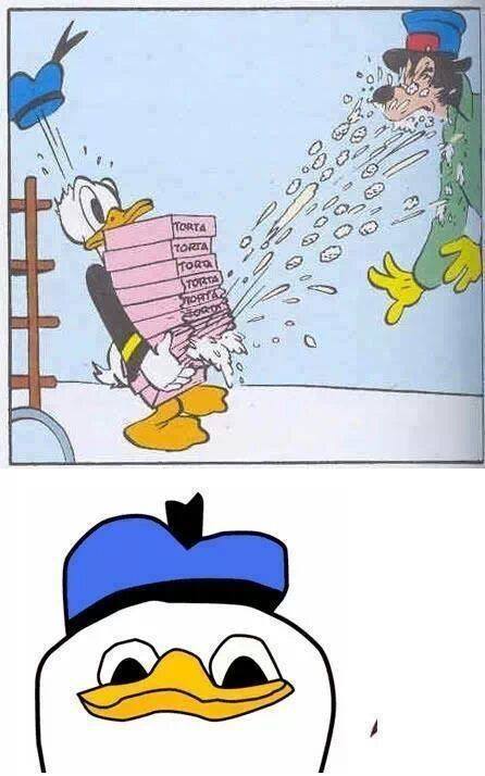 Why are you doing this donald ?
