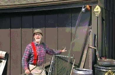 how to get rid of bees