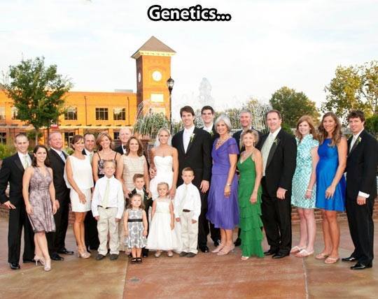 Oh, Genetics.