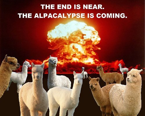Prepare for the Alpacalypse!