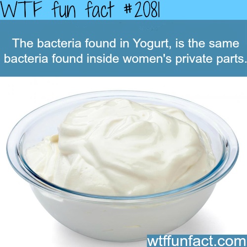 This is why I love the taste of...yogurt