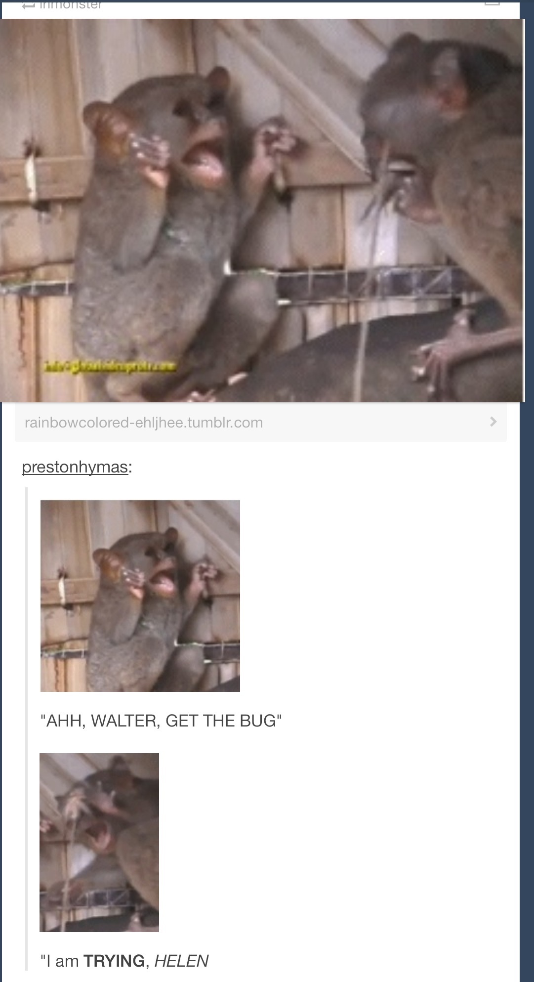 Goddamit walter get yo shit together