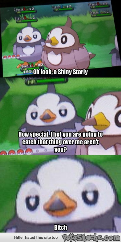 Starly is not amused...