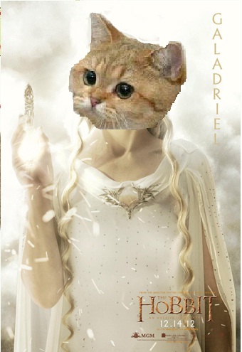 i'ts just CATE