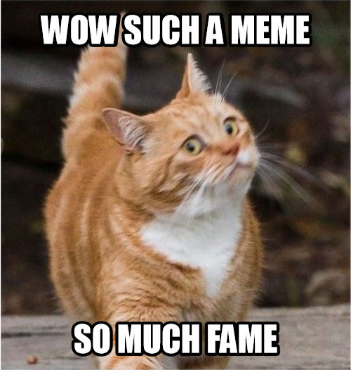 Wow such begin