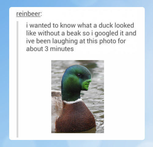 the mighty duck man