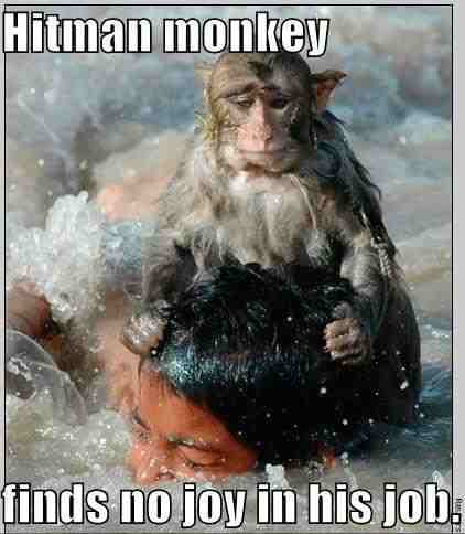 Hitman monkey...