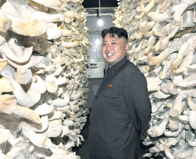 Kim Jong-Un surrounded, he likes the D.