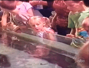 Come on little girl suck my titties!