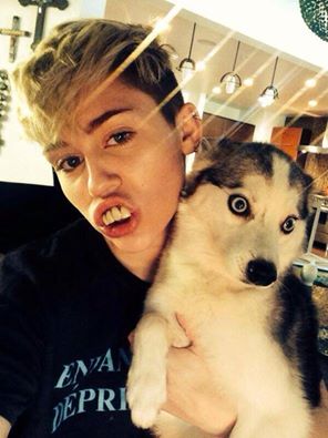 This posted miley cyrus today. The dog have seen things.