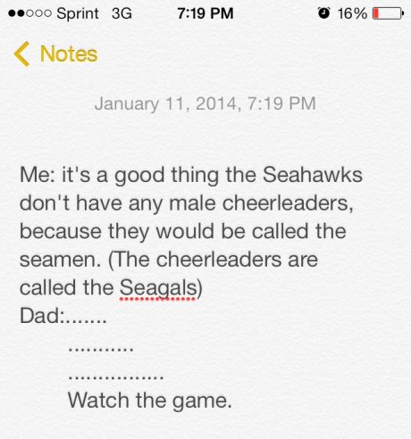 Seahawks are an American Football (Handegg) Team.