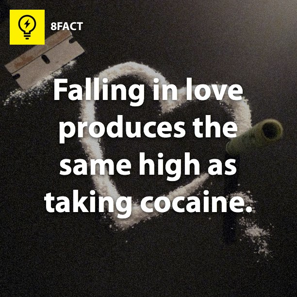 I think cocaine is the safer option.