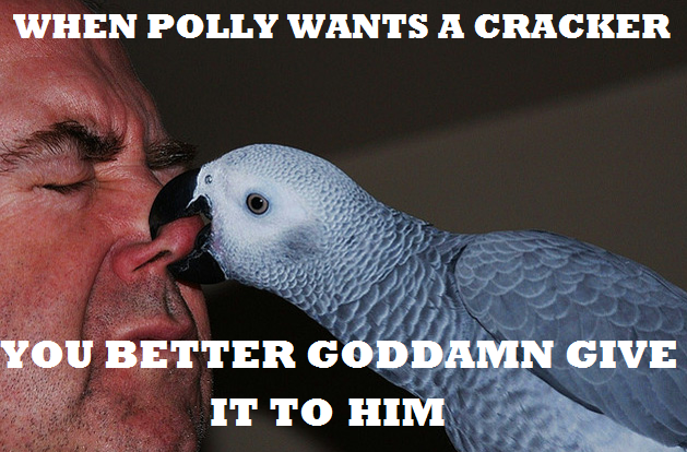 Polly wants a cracker