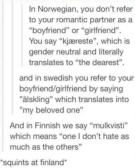 i just gotta learn finnish