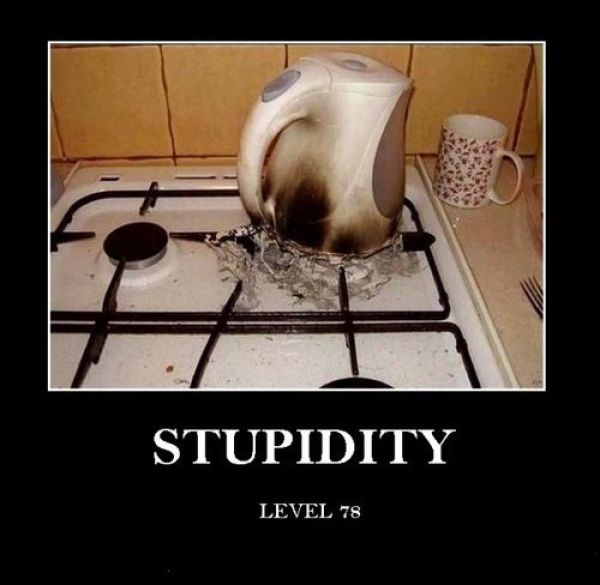 Stupidity!